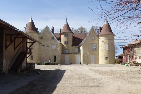 Les menuiseries d'extérieur du château de la frette